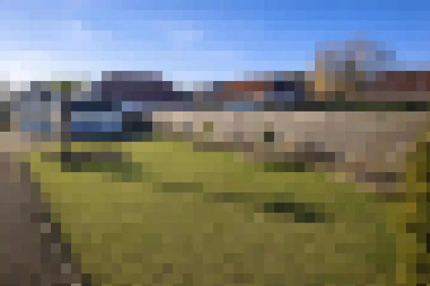 Goldhoorn 5 Oostwold thumbnail 33