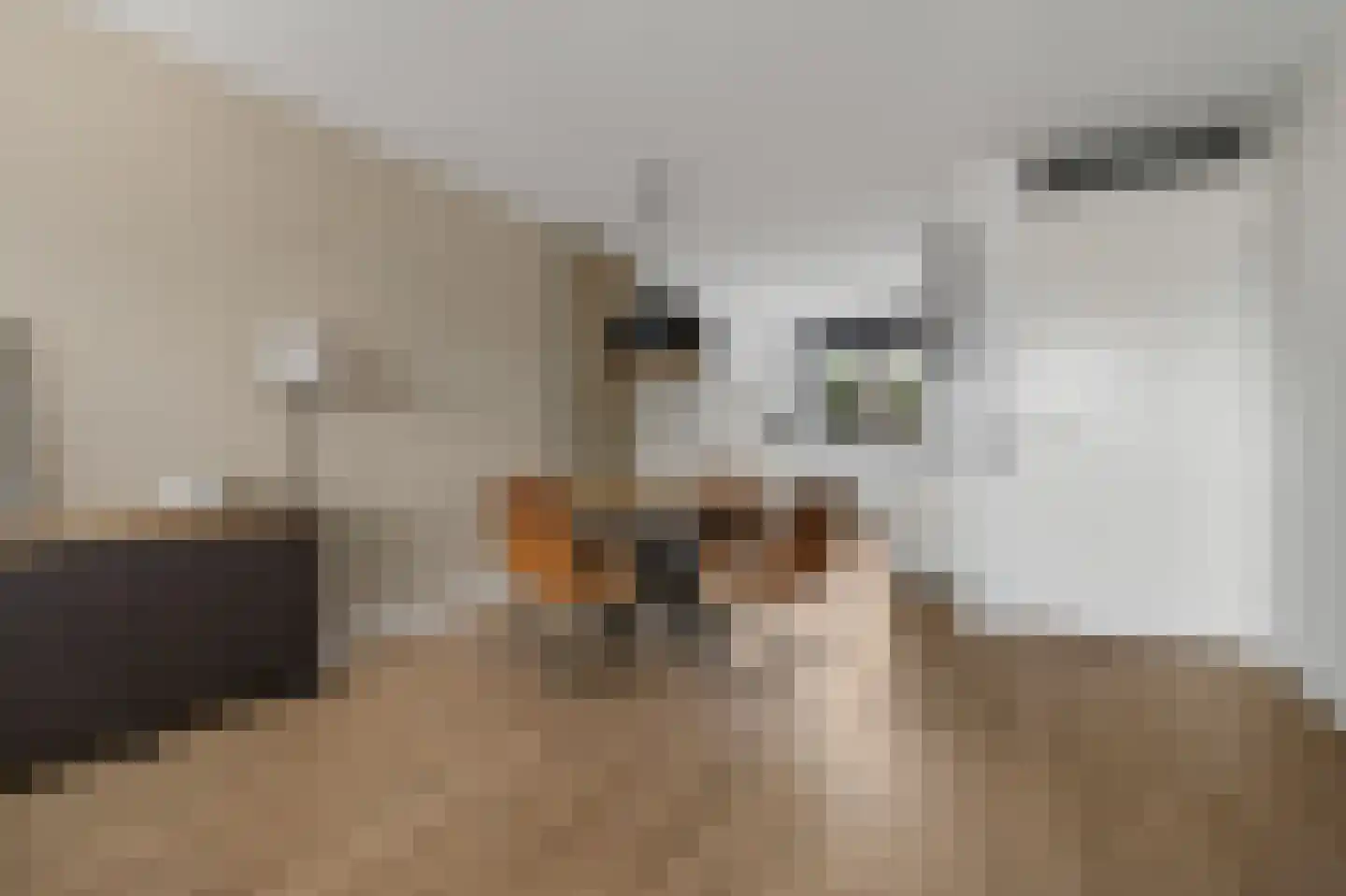 Goldschmidtstraat 3 Nijkerkerveen thumbnail 10