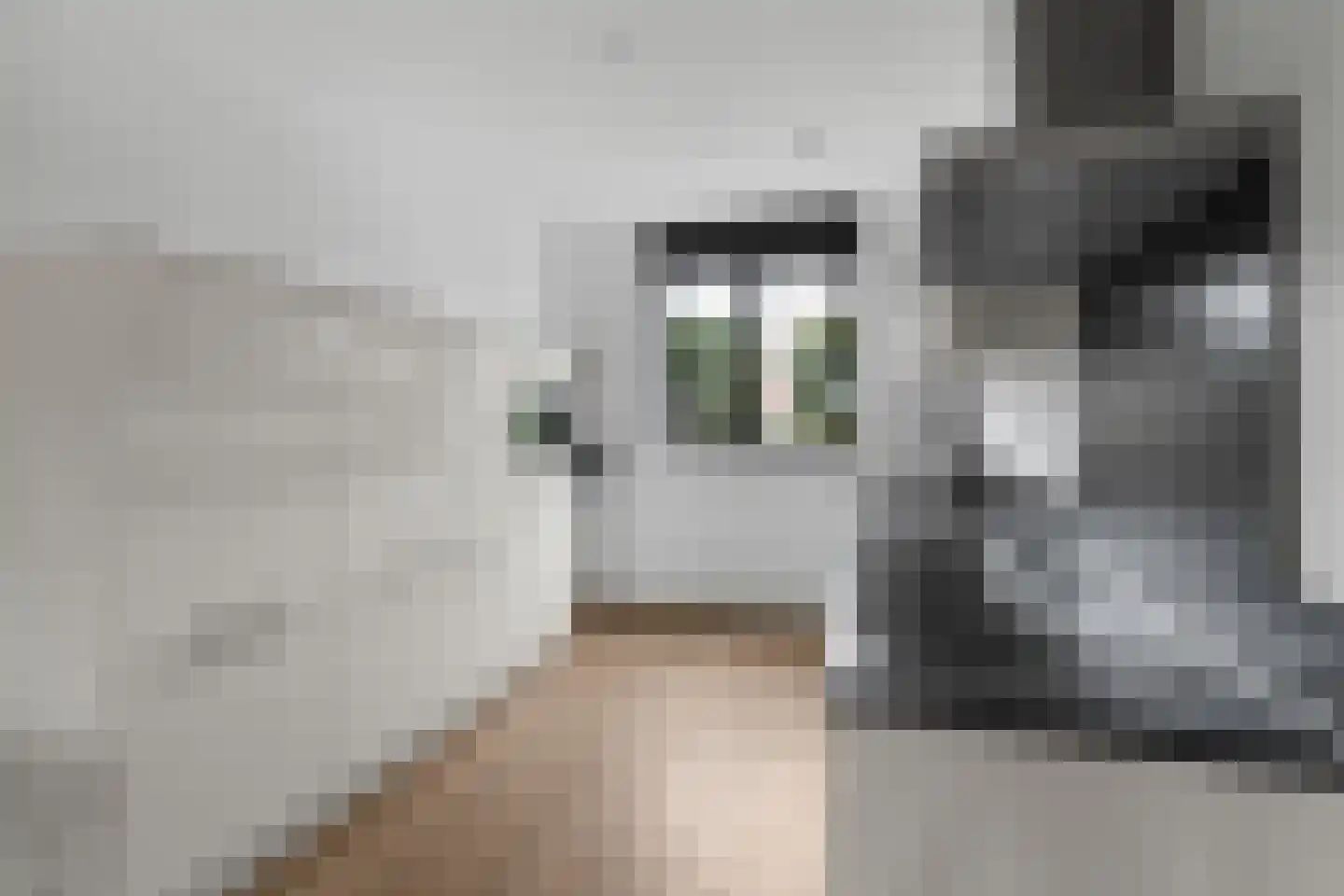 Goldschmidtstraat 3 Nijkerkerveen thumbnail 11