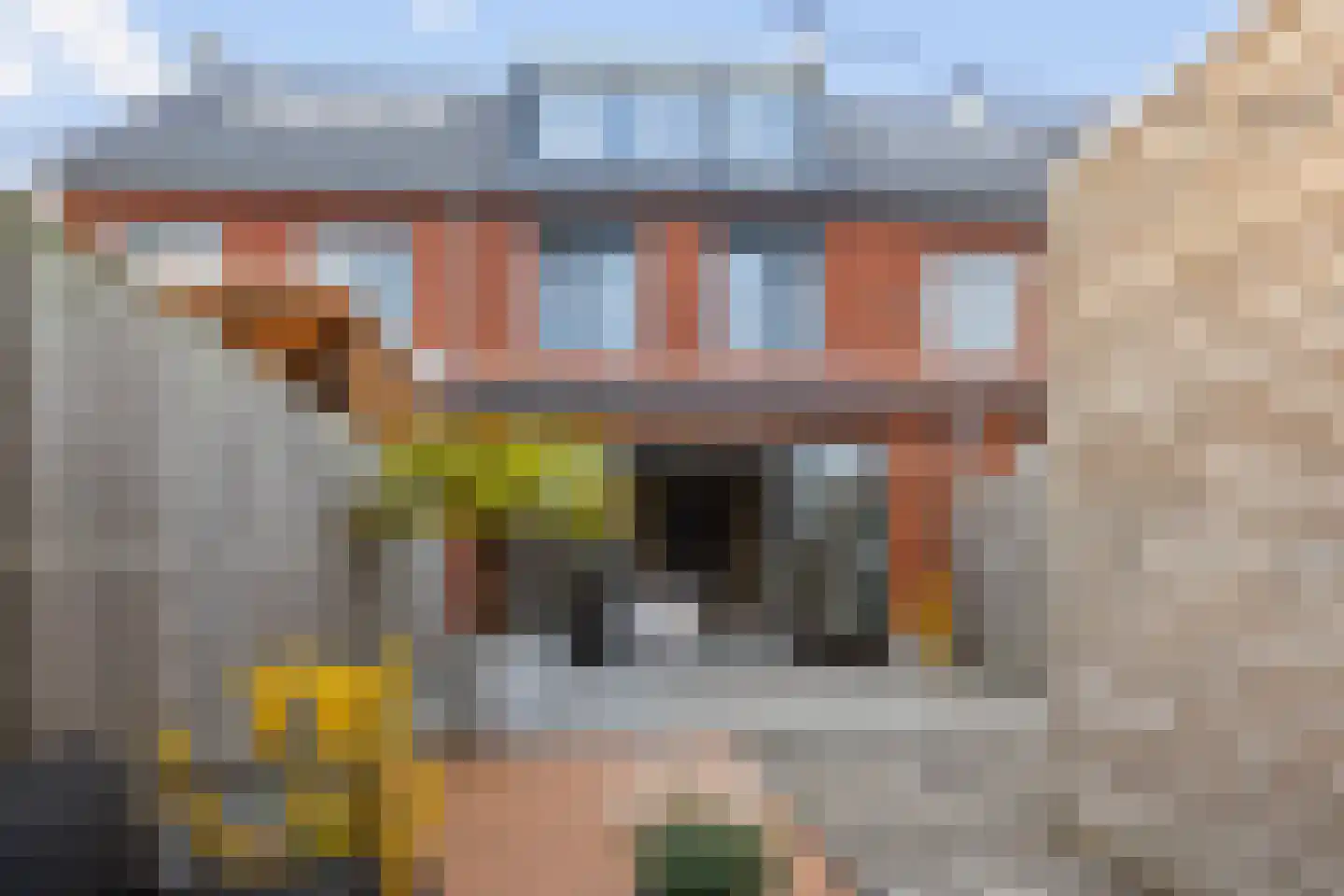 Goldschmidtstraat 3 Nijkerkerveen thumbnail 4