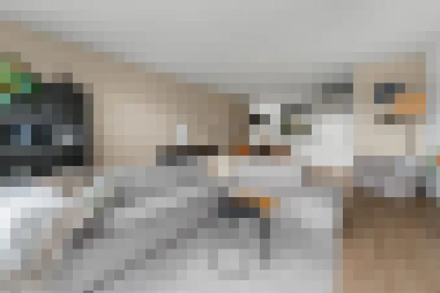 Goldschmidtstraat 3 Nijkerkerveen thumbnail 7