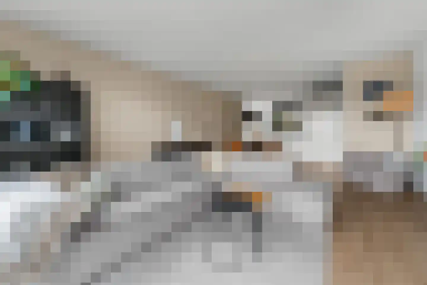 Goldschmidtstraat 3 Nijkerkerveen thumbnail 8