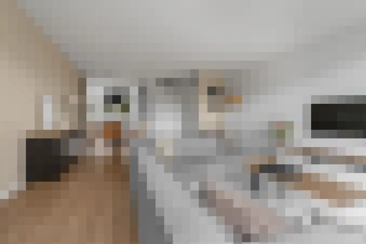 Goldschmidtstraat 3 Nijkerkerveen thumbnail 8