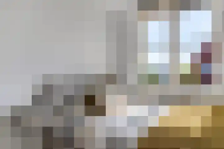 Goldschmidtstraat 35 Nijkerkerveen thumbnail 17