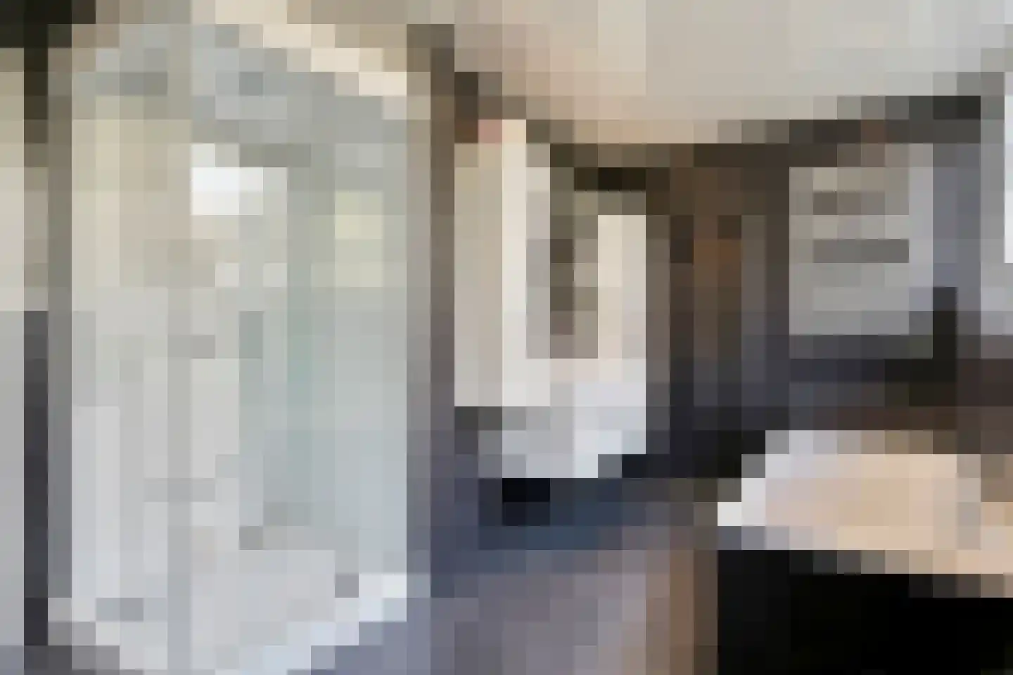 Golepoldersedijk 3 Breskens thumbnail 10