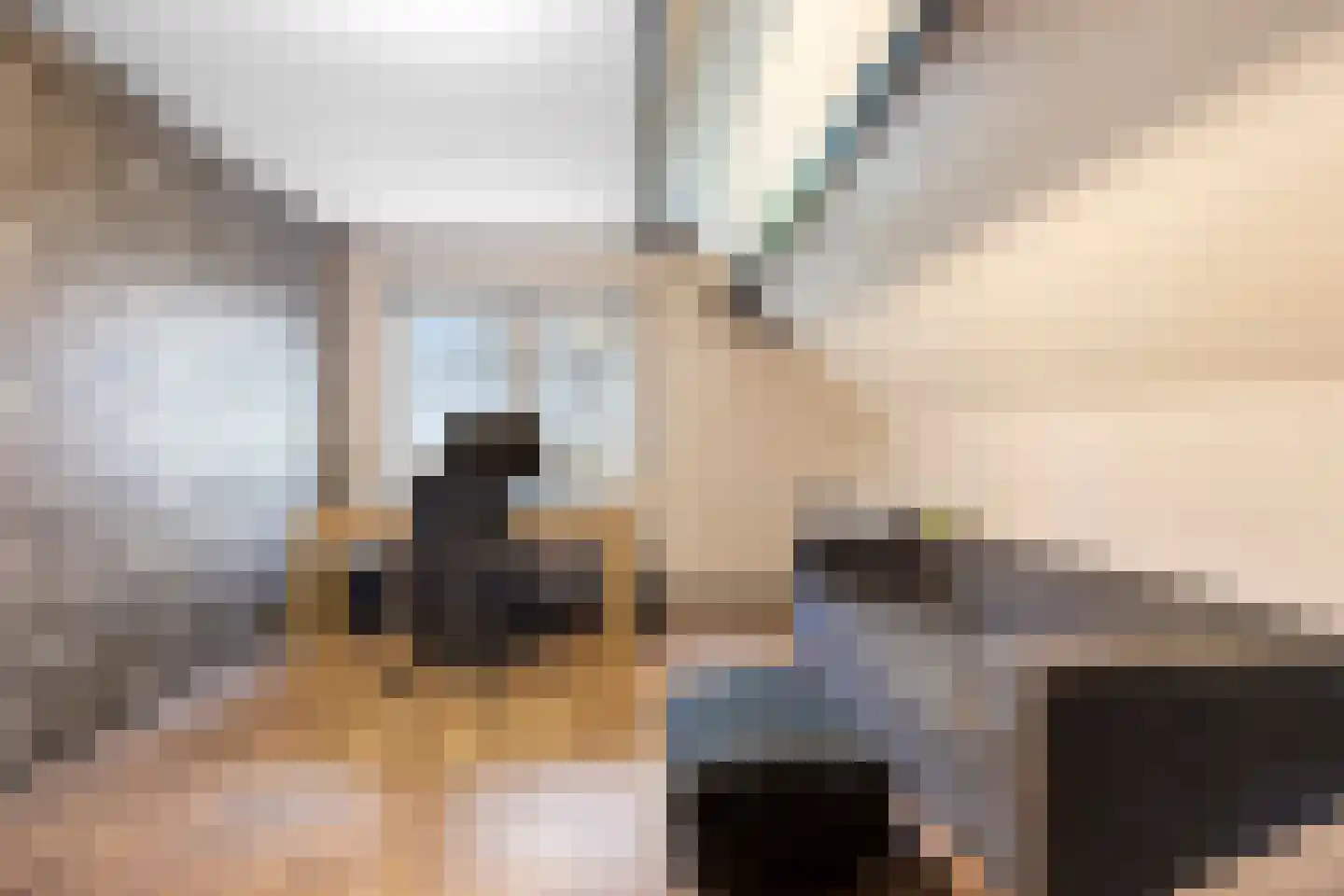 Golepoldersedijk 3 Breskens thumbnail 11