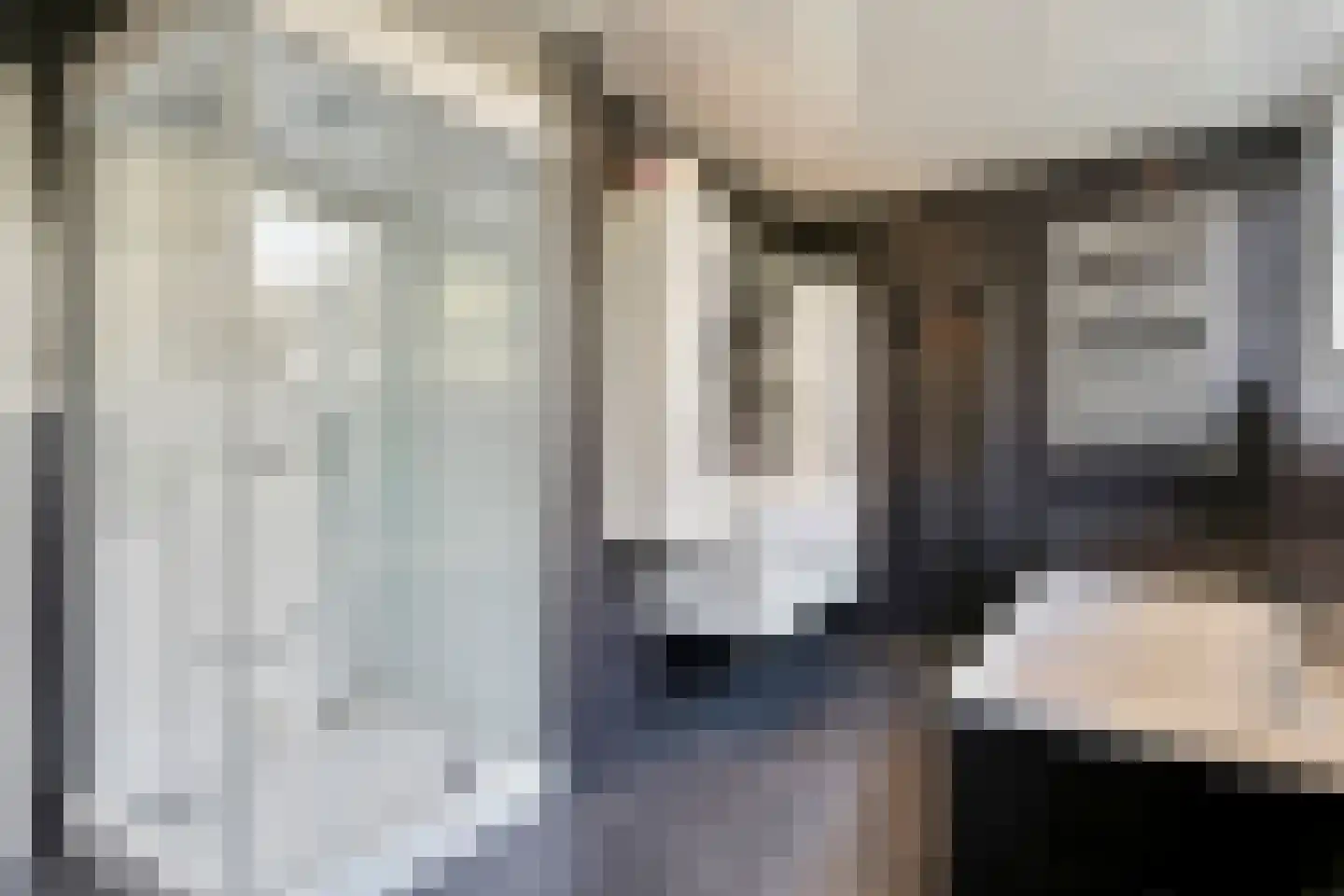 Golepoldersedijk 3 Breskens thumbnail 12