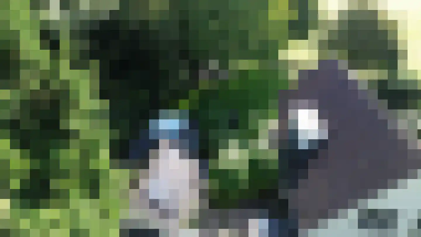 Golepoldersedijk 3 Breskens thumbnail 14