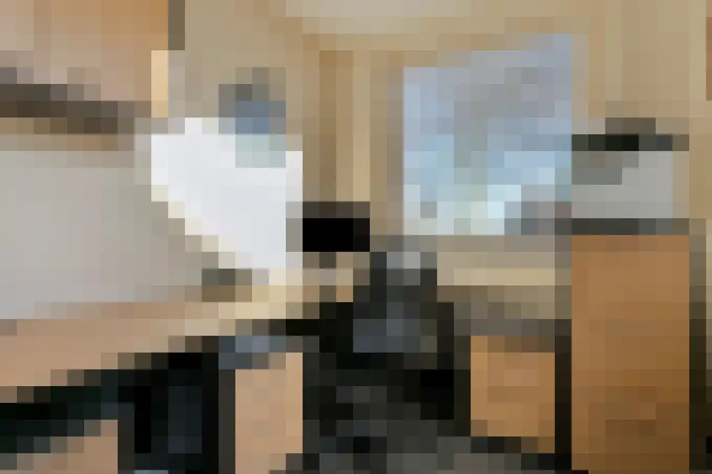Golepoldersedijk 3 Breskens thumbnail 7