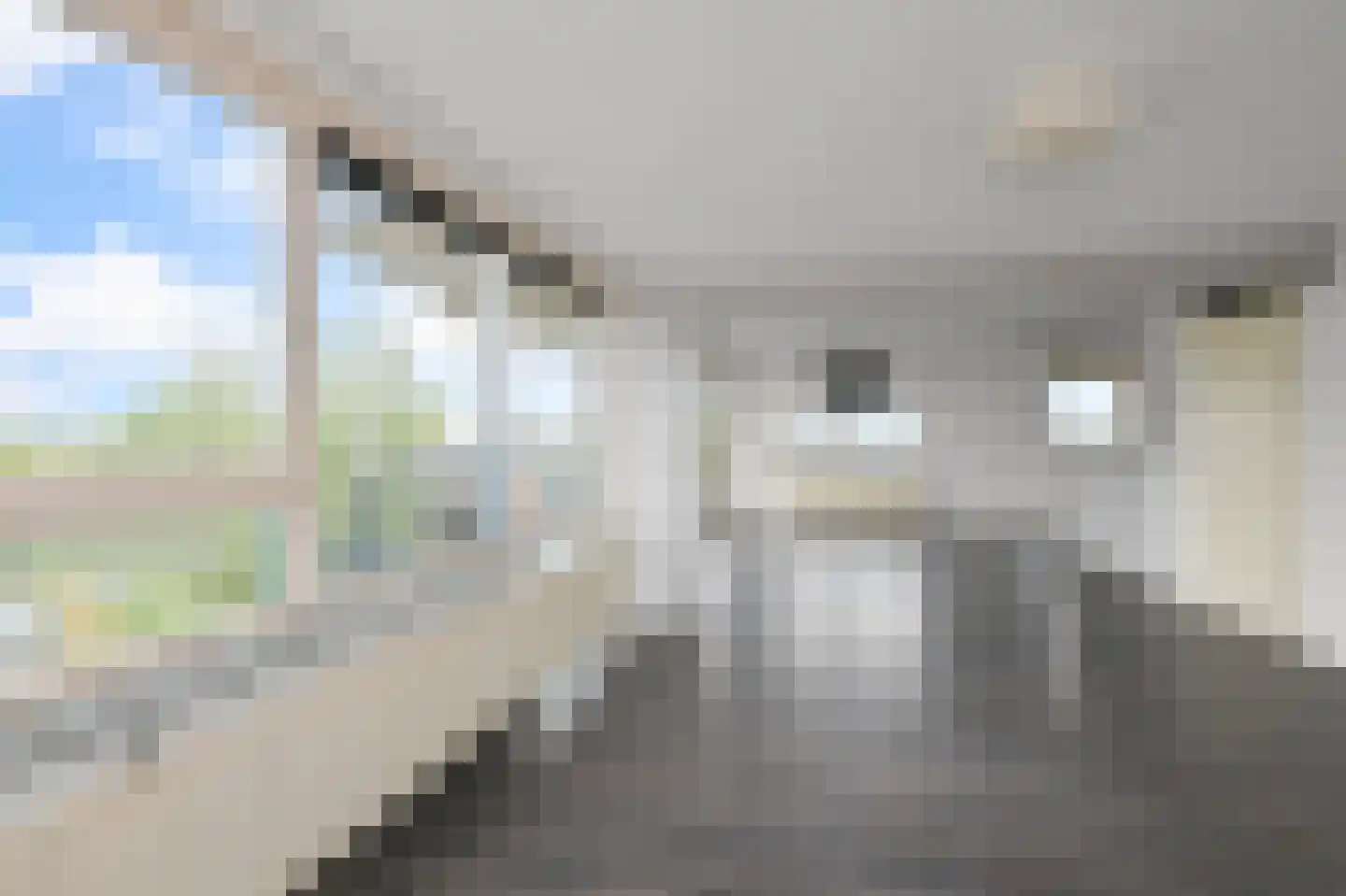 Golf 15 Wormer thumbnail 4