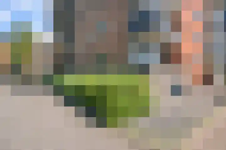 Golf 2 Wormer thumbnail 32