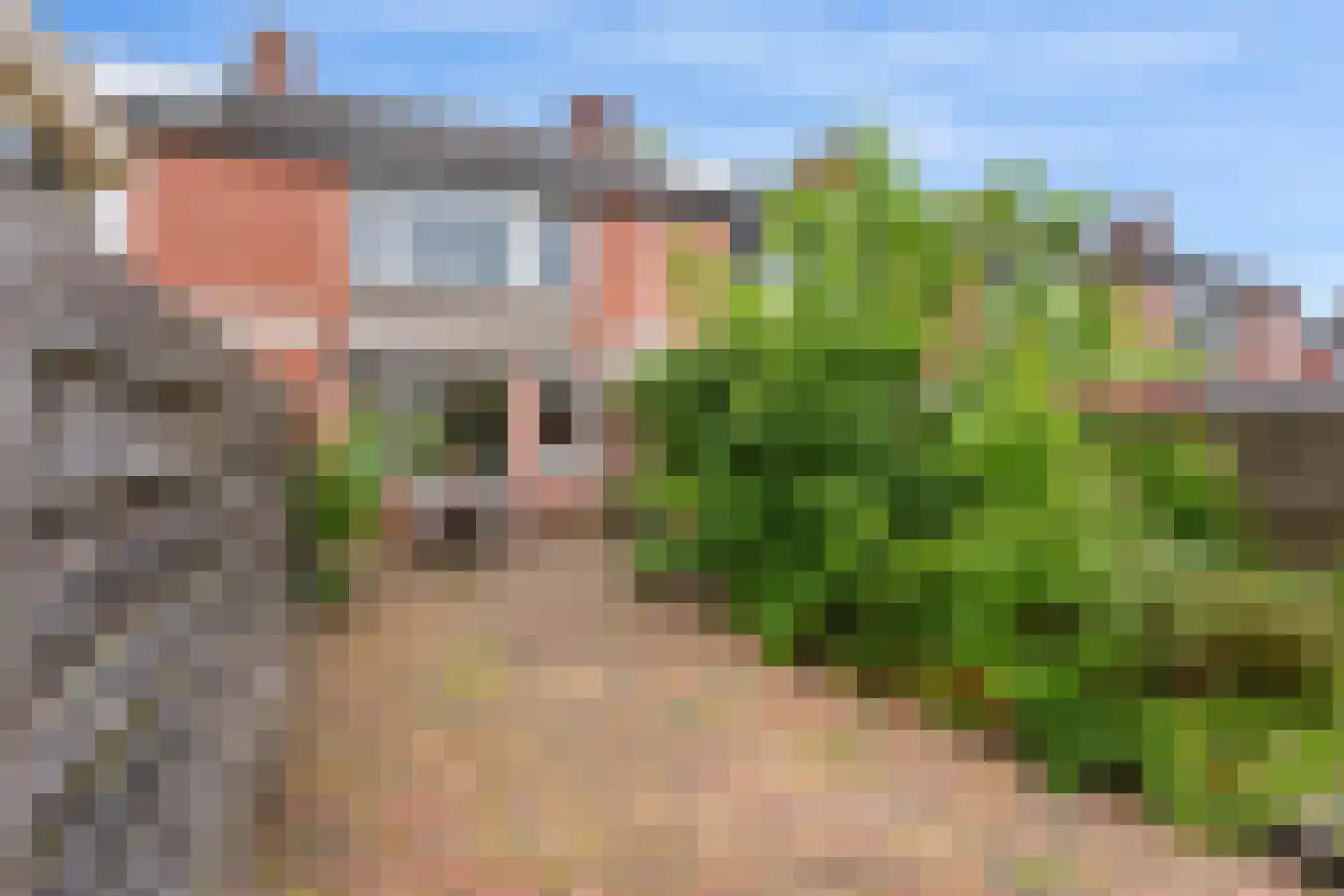 Golf van Riga 16 Veendam thumbnail 35