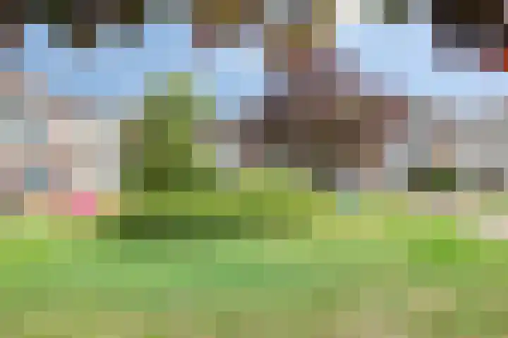 Golf van Riga 32 Veendam thumbnail 36