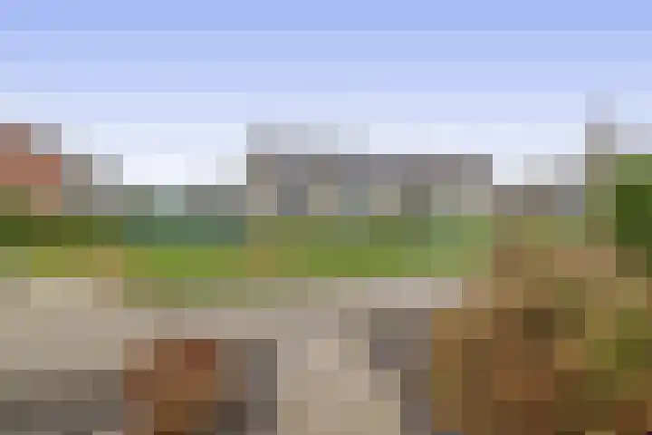 Golf van Riga 47 Veendam thumbnail 33
