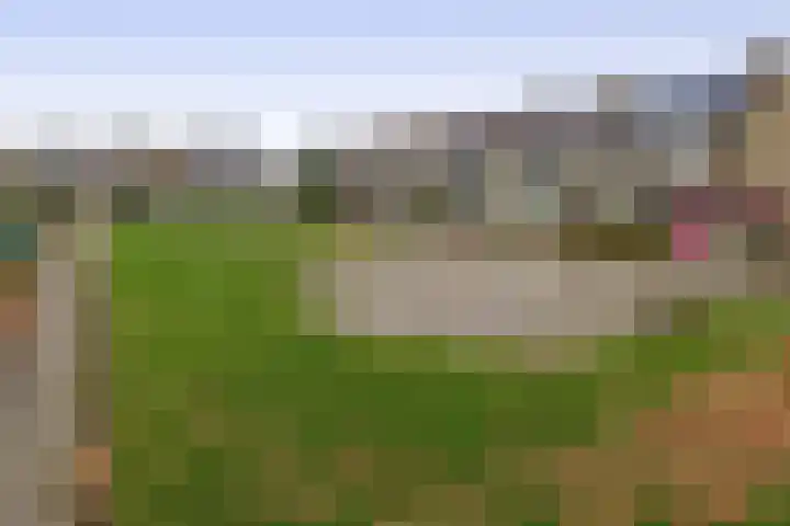 Golf van Riga 47 Veendam thumbnail 36