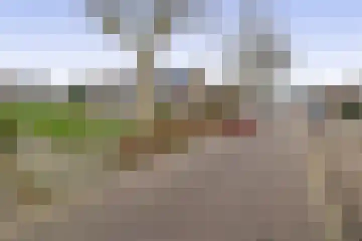 Golf van Riga 47 Veendam thumbnail 37