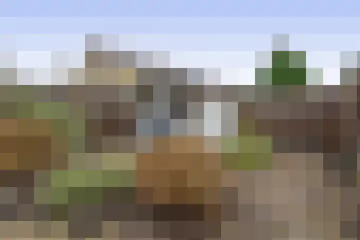 Golf van Riga 47 Veendam thumbnail 5