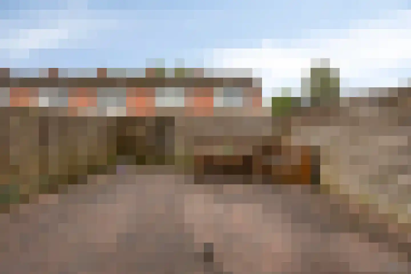 Golf van Riga 6 Veendam thumbnail 31