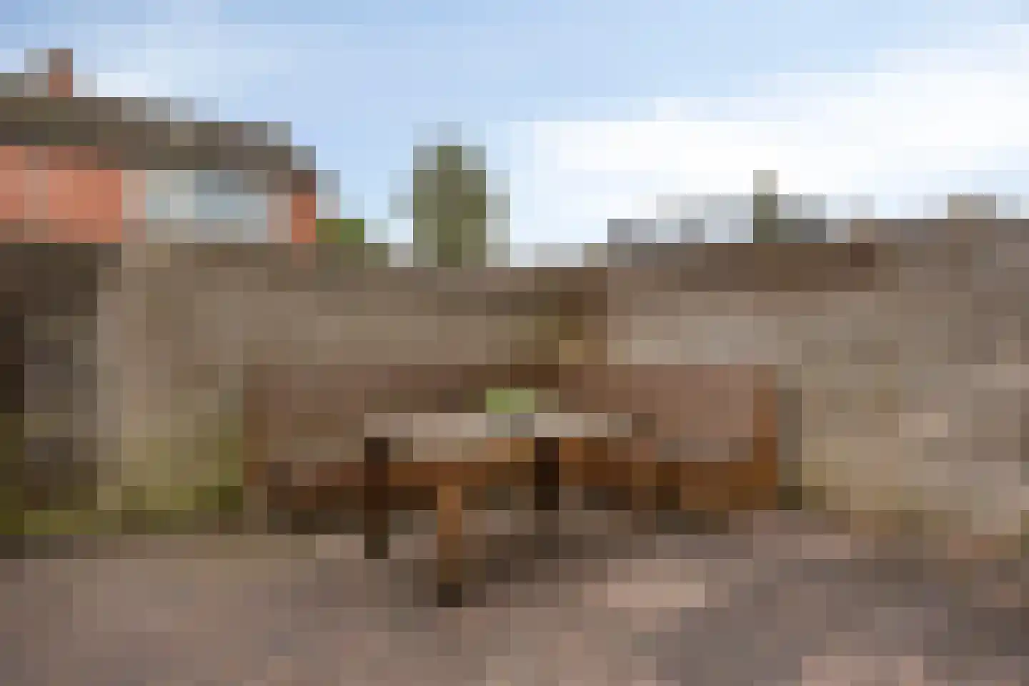 Golf van Riga 6 Veendam thumbnail 32