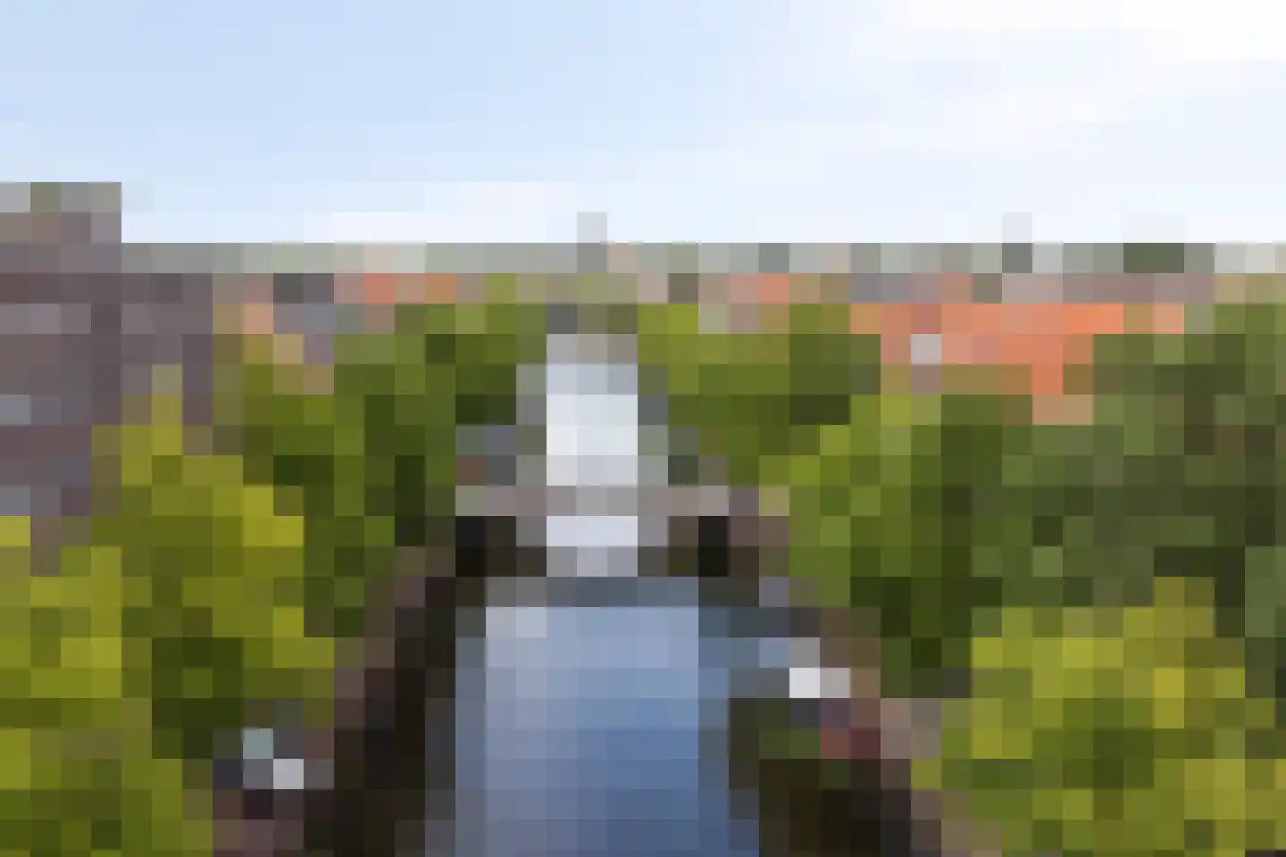 Golf van Riga 67 Veendam thumbnail 31