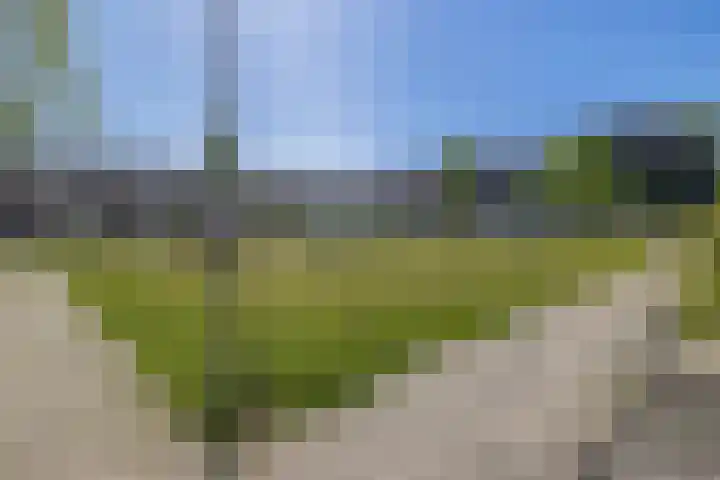 Golf van Riga 78 Veendam thumbnail 37