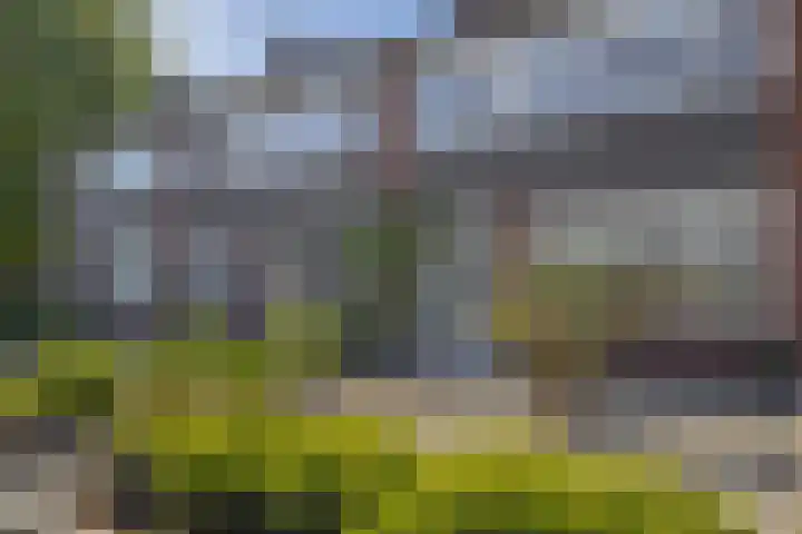 Golf van Riga 78 Veendam thumbnail 6