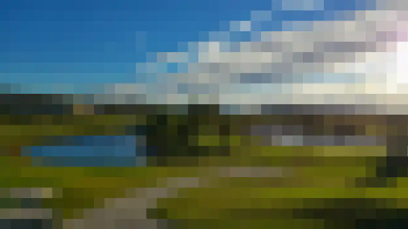 Golf Wormer thumbnail 6