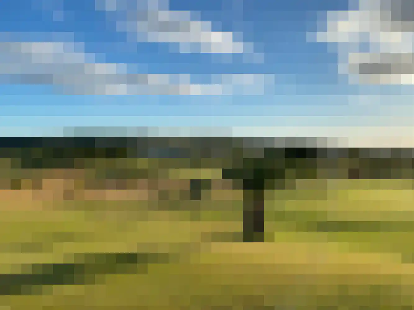 Golf Wormer thumbnail 7