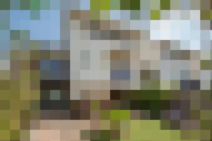 Golfbaan 15 Den Haag foto 2