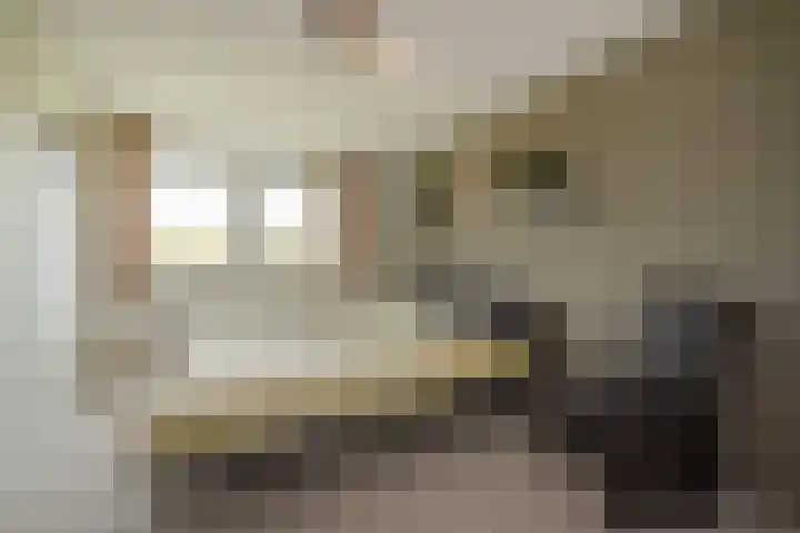 Golfbaan 15 Den Haag thumbnail 6