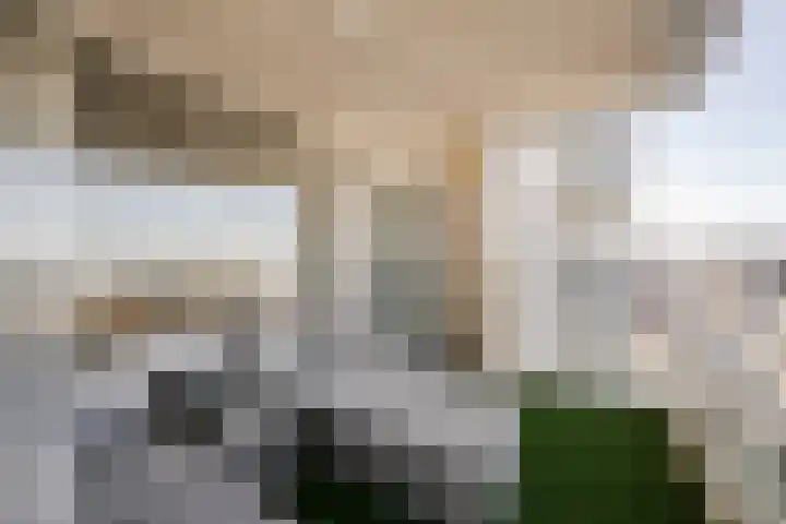 Golfbaan 67 Noordwijk thumbnail 22