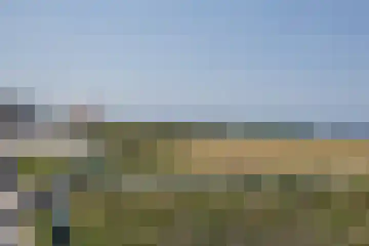 Golfbaan 93 Noordwijk thumbnail 44