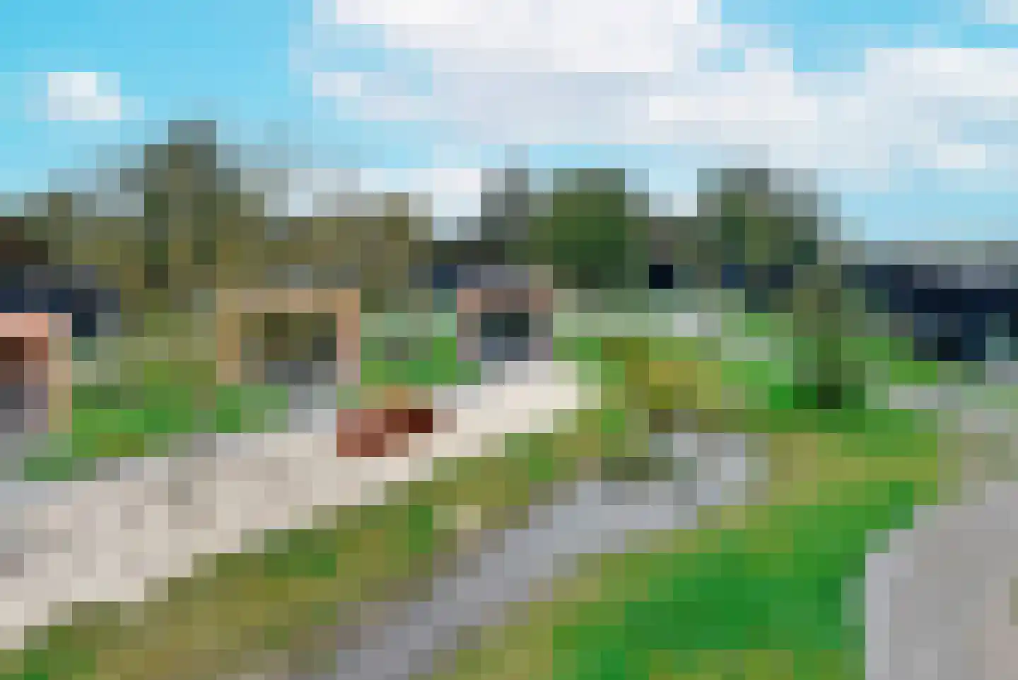 Golfbreker 1 23 Kamperland thumbnail 27