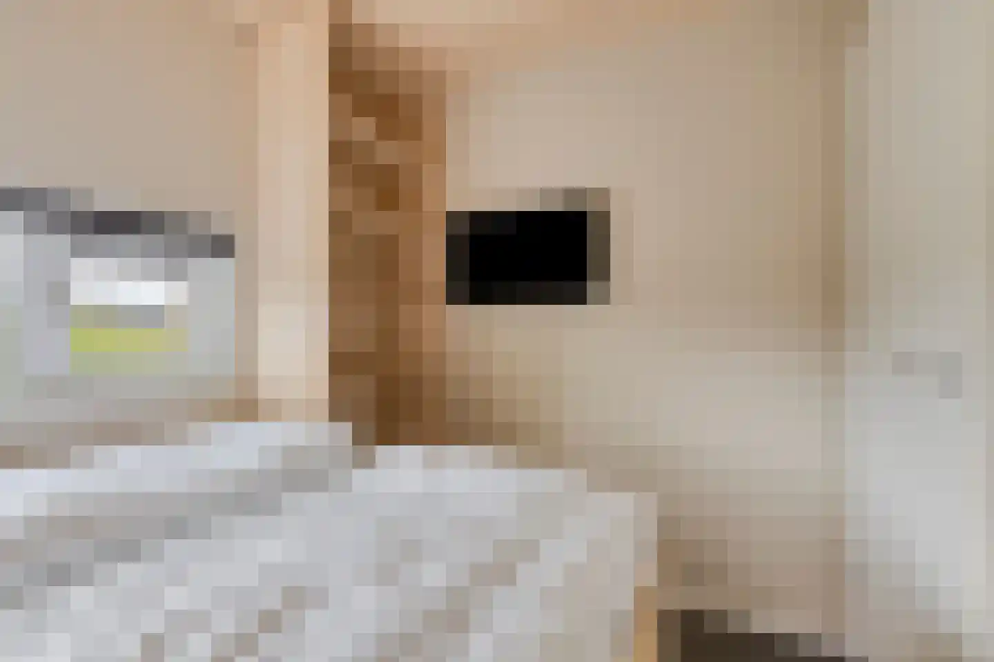 Golfbreker 1 29 Kamperland thumbnail 19