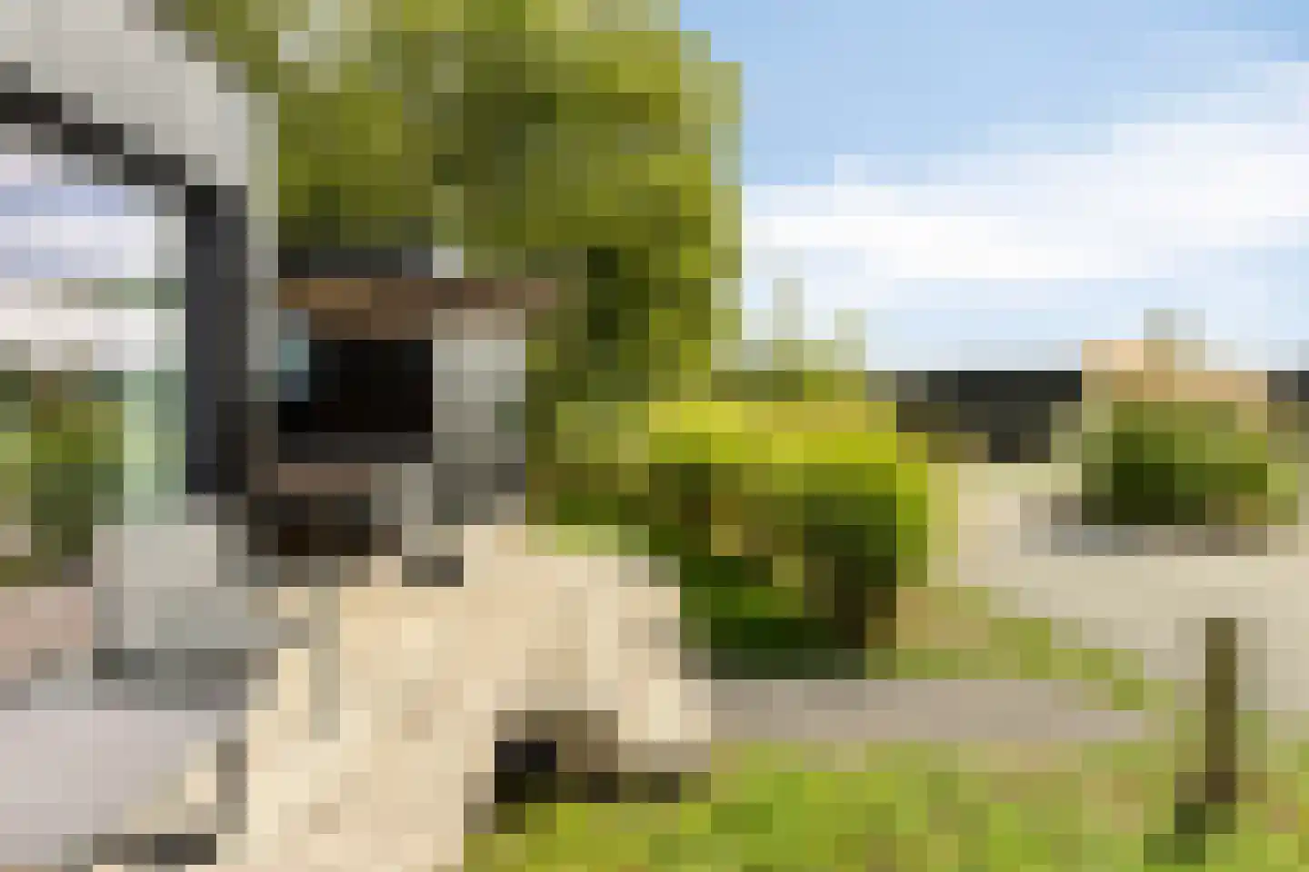 Golfbreker 1 29 Kamperland thumbnail 27