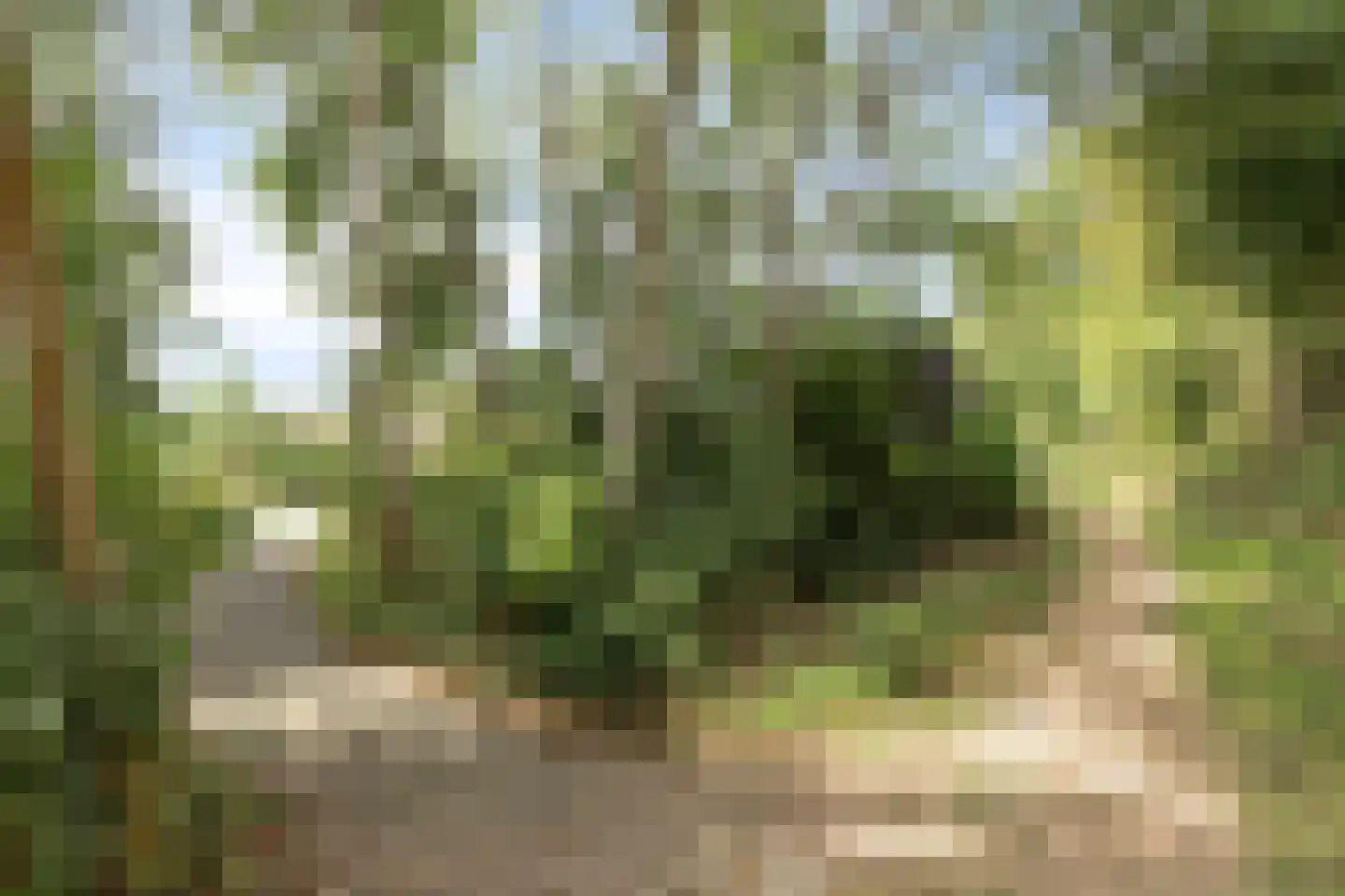 Golfbreker 1 29 Kamperland thumbnail 37