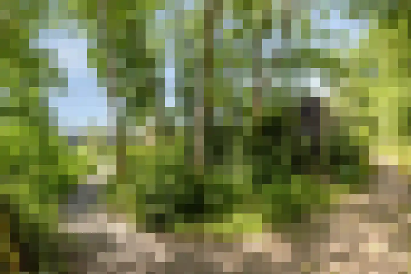 Golfbreker 1 29 Kamperland thumbnail 7