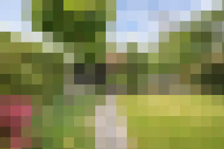 Golflaan 11 Heerenveen thumbnail 39