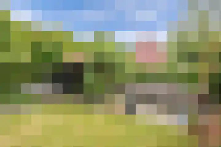 Golflaan 11 Heerenveen thumbnail 43