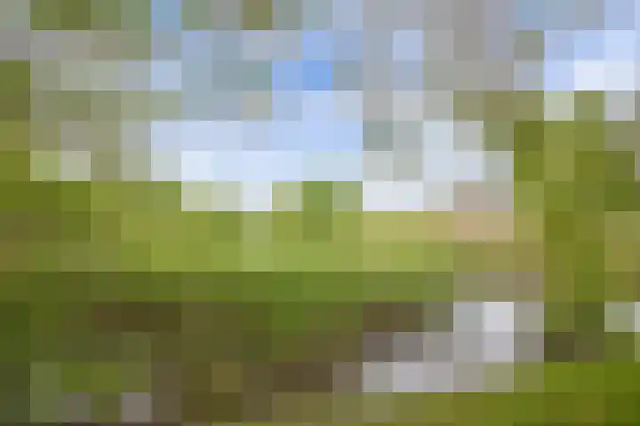 Golflaan 11 Heerenveen thumbnail 63