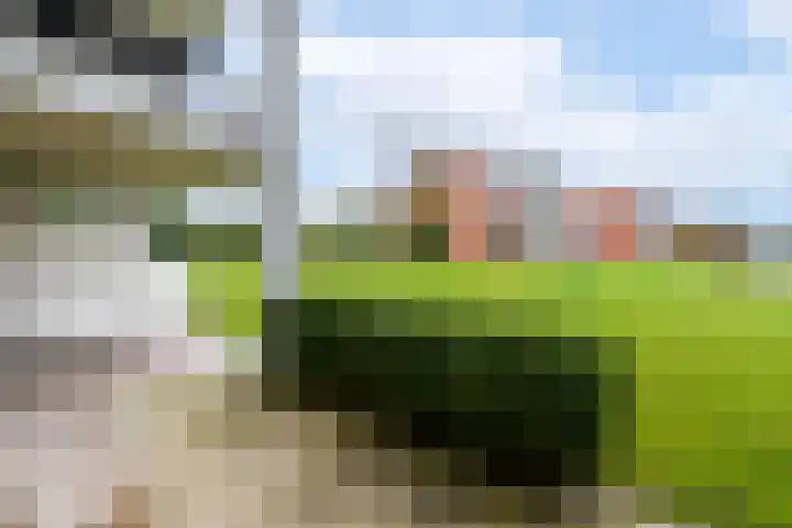 Golflaan 14 1 Heerenveen thumbnail 24