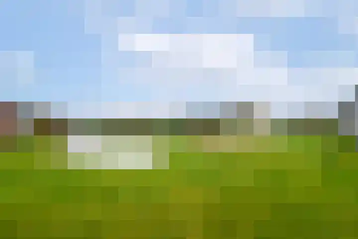Golflaan 14 1 Heerenveen thumbnail 25
