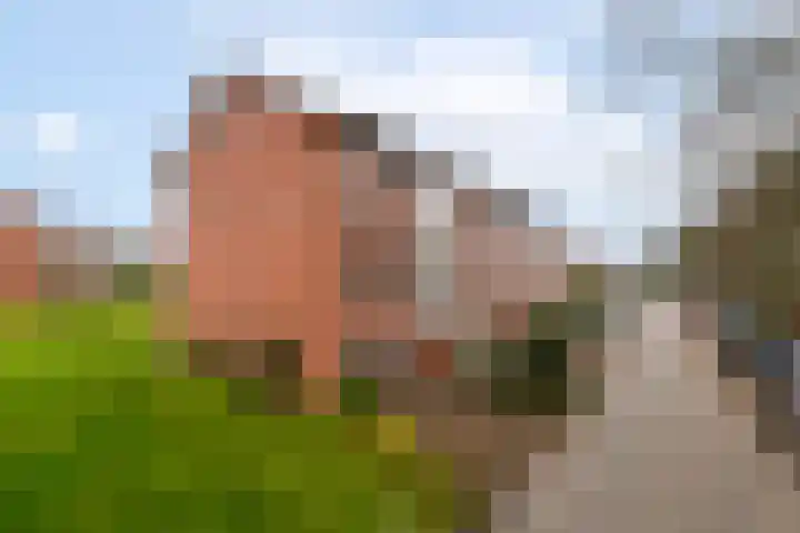 Golflaan 14 1 Heerenveen thumbnail 27