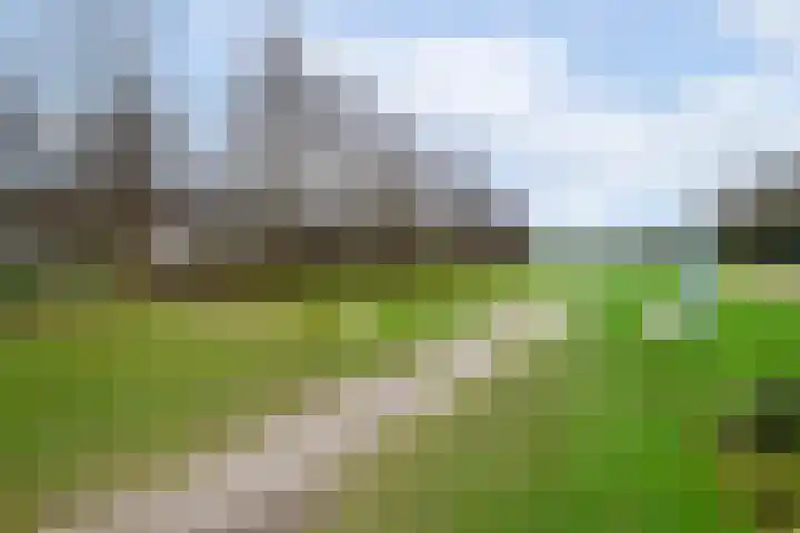 Golflaan 14 1 Heerenveen thumbnail 31