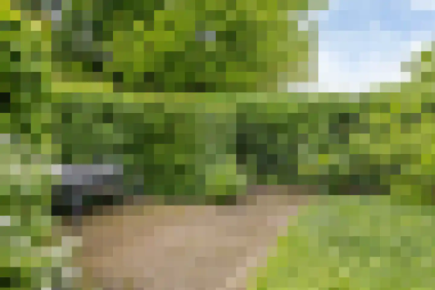Golflaan 15 Heerenveen thumbnail 22