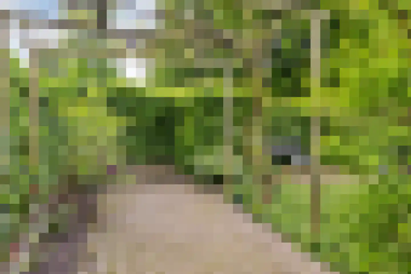 Golflaan 15 Heerenveen thumbnail 4