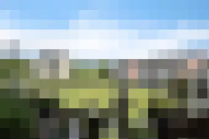 Golflaan 16 32 Heerenveen thumbnail 24