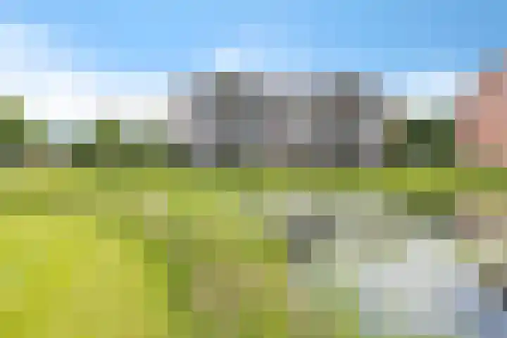 Golflaan 16 32 Heerenveen thumbnail 9