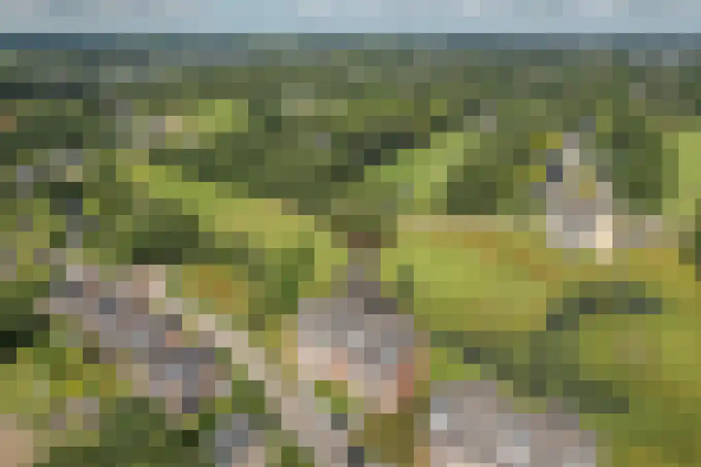 Golflaan 20 31 Heerenveen thumbnail 37