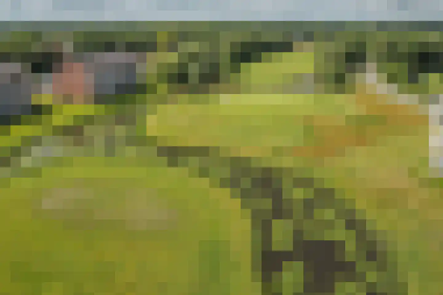 Golflaan 20 31 Heerenveen thumbnail 38